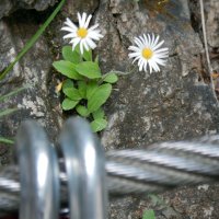 Wildwasserwoche in Oberdrauburg