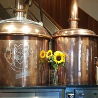 Kleinflussspaß in der Nordheide: Allgemeines