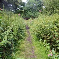 Kleinflussspaß in der Nordheide: Este