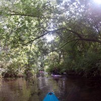 Kleinflussspaß in der Nordheide: Este
