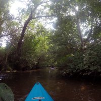 Kleinflussspaß in der Nordheide: Este