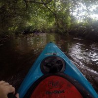 Kleinflussspaß in der Nordheide: Este