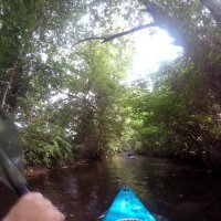 Kleinflussspaß in der Nordheide: Este