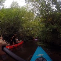 Kleinflussspaß in der Nordheide: Este