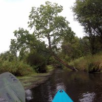 Kleinflussspaß in der Nordheide: Este