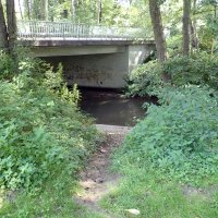 Kleinflussspaß in der Nordheide: Luhe