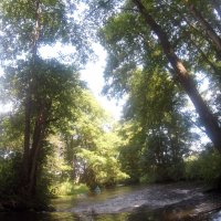 Kleinflussspaß in der Nordheide: Luhe