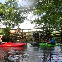 Kleinflussspaß in der Nordheide: Luhe