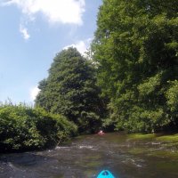 Kleinflussspaß in der Nordheide: Luhe