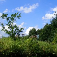 Kleinflussspaß in der Nordheide: Luhe