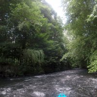 Kleinflussspaß in der Nordheide: Luhe