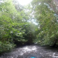 Kleinflussspaß in der Nordheide: Luhe
