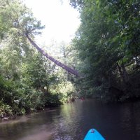 Kleinflussspaß in der Nordheide: Luhe