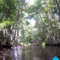 Kleinflussspaß in der Nordheide: Luhe