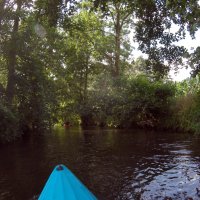 Kleinflussspaß in der Nordheide: Luhe