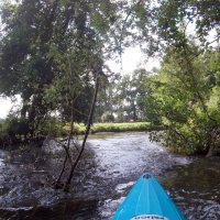 Kleinflussspaß in der Nordheide: Luhe