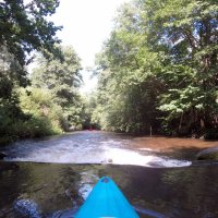 Kleinflussspaß in der Nordheide: Luhe