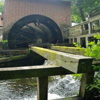 Kleinflussspaß in der Nordheide: Seeve