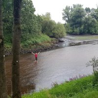 Kleinflussspaß in der Nordheide: Seeve