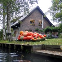 Spreewald