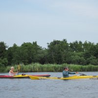 Niederlande: Alde Feanen
