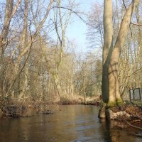 Tour mit Baum: Aschau