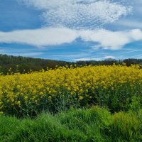 Radtour der Frauenfitnessgruppe