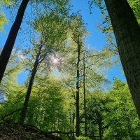 Radlerinnentour an der Weser