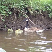 Kleinflusstouren in der Nordheide