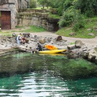 Eisbären und Kajaks