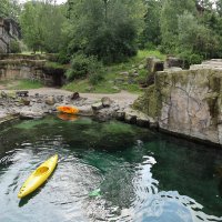 Eisbären und Kajaks