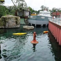 Eisbären und Kajaks