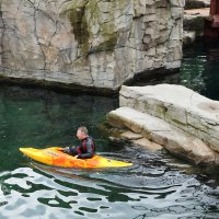 Eisbären und Kajaks