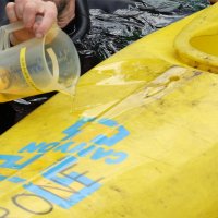 Eisbären und Kajaks