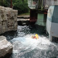 Eisbären und Kajaks