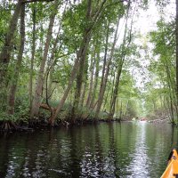 Mecklenburgische Kleinseen