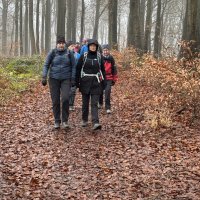 Deisterwanderung