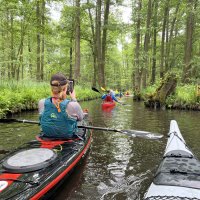 Spreewald
