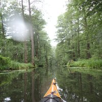 Spreewald