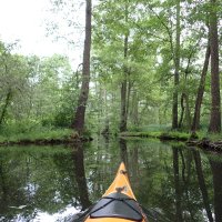 Spreewald