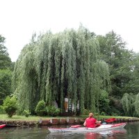 Spreewald