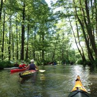 Spreewald