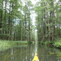 Spreewald