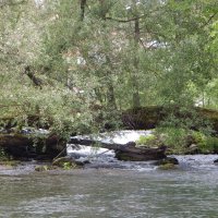 2019: Baddeln in Franken - Wiesent